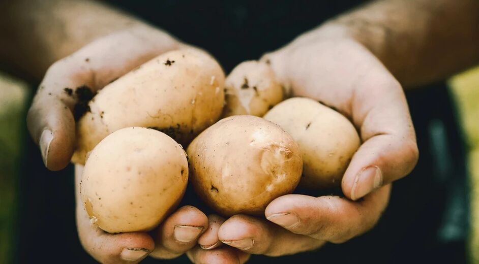 Las patatas tienen un efecto positivo en la salud de los hombres
